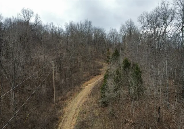 Photo 2 of Land for sale at (Undisclosed), Green Forest, AR 72638 | MLS# 1333395 | Listing updated on 2026-09-13