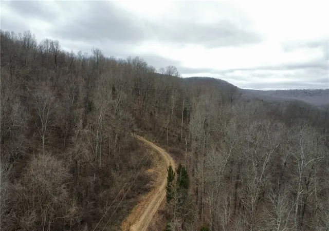 Photo 3 of Land for sale at (Undisclosed), Green Forest, AR 72638 | MLS# 1333395 | Listing updated on 2026-09-13