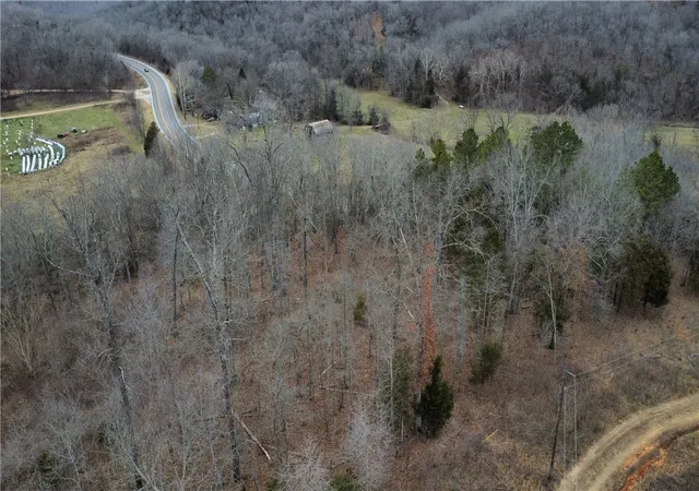 Photo 3 of House for sale at (Undisclosed), Green Forest, AR 72638 | MLS# 1333395 | Listing updated on 2026-09-26