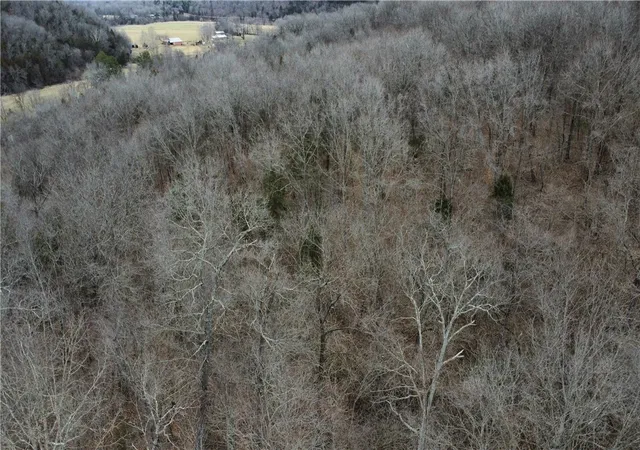 Photo 4 of House for sale at (Undisclosed), Green Forest, AR 72638 | MLS# 1333395 | Listing updated on 2026-09-26