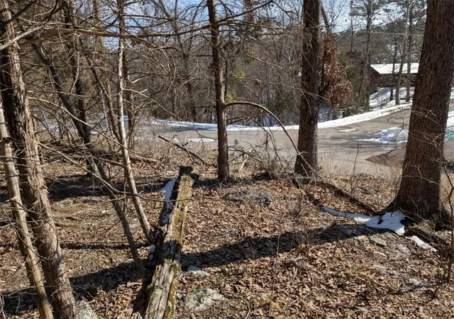 Photo 3 of Land for sale at Tbd Merion Dr, Holiday Island, AR 72631 | MLS# 1334706 | Listing updated on 2026-09-06