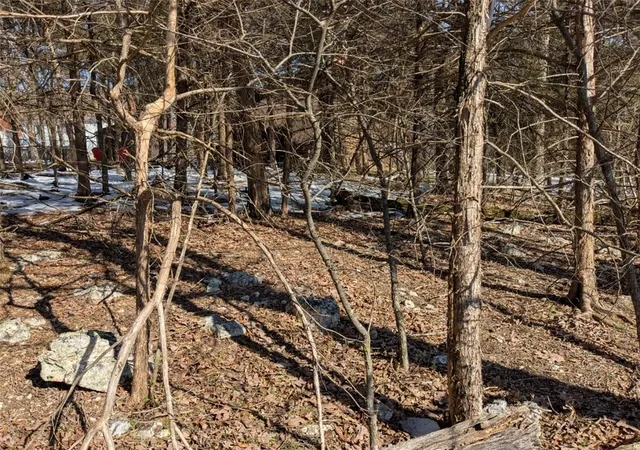 Photo 4 of Land for sale at Tbd Merion Dr, Holiday Island, AR 72631 | MLS# 1334706 | Listing updated on 2026-09-06