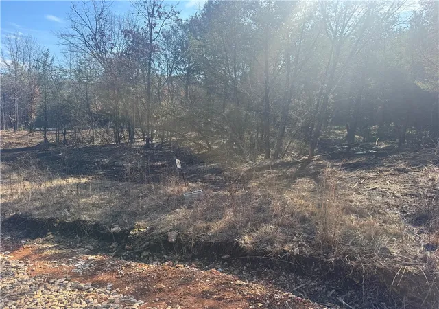 Photo 3 of Sale Pending at Tbd 243 Acres County Rd 3271, Berryville, AR 72616 | MLS# 1335889 | Listing updated on 2026-09-08