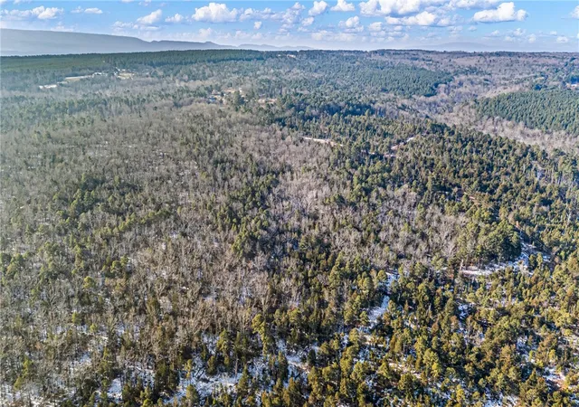 Photo 3 of Sale Pending at 40 Acre, Delaware, AR 72835 | MLS# 1336416 | Listing updated on 2026-08-31