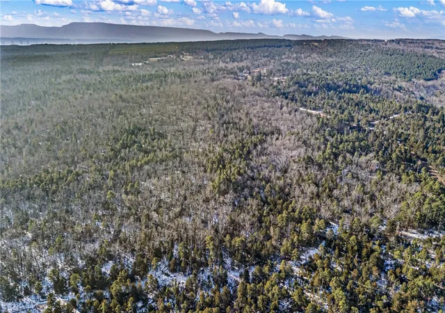 Photo 4 of Sale Pending at 40 Acre, Delaware, AR 72835 | MLS# 1336416 | Listing updated on 2026-08-31