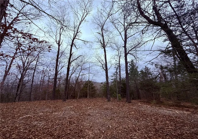 Land for sale at Mc 8123, Peel, AR 72668 | MLS# 1339260
