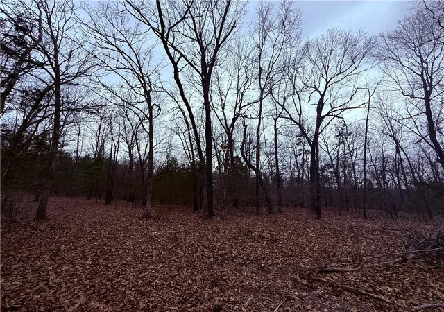 Photo 2 of Land for sale at Mc 8123, Peel, AR 72668 | MLS# 1339260 | Listing updated on 2026-09-01