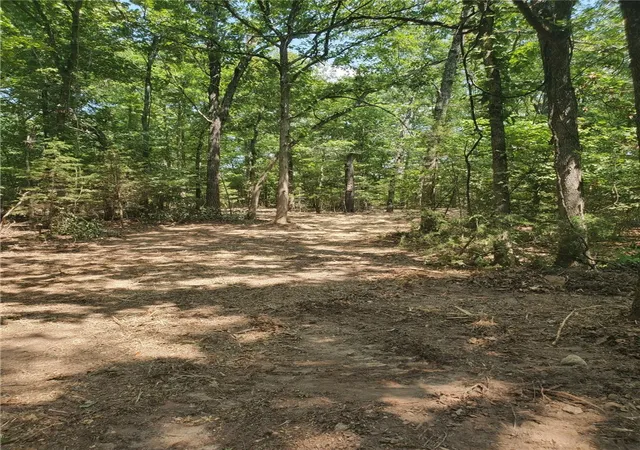 Photo 4 of Land for sale at Mc 8123, Peel, AR 72668 | MLS# 1339260 | Listing updated on 2026-09-01