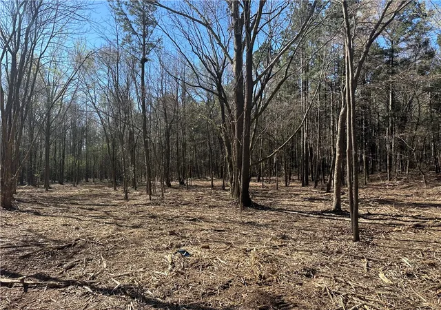 Photo 3 of Land for sale at Lots 80 81 And 234 Cliff Rd, Russellville, AR 72802 | MLS# 1339451 | Listing updated on 2026-09-14