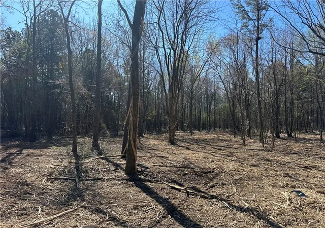 Photo 4 of Land for sale at Lots 80 81 And 234 Cliff Rd, Russellville, AR 72802 | MLS# 1339451 | Listing updated on 2026-09-14