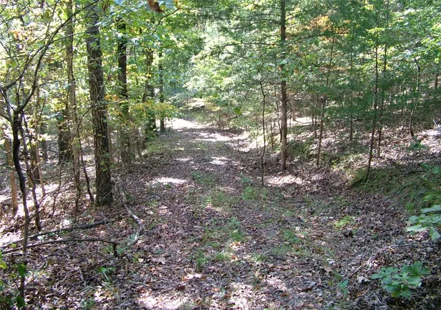 Photo 1 of Land for sale at 001 00225 001 Mc 6062, Flippin, AR 72634 | MLS# 1340138 | Listing updated on 2026-09-02