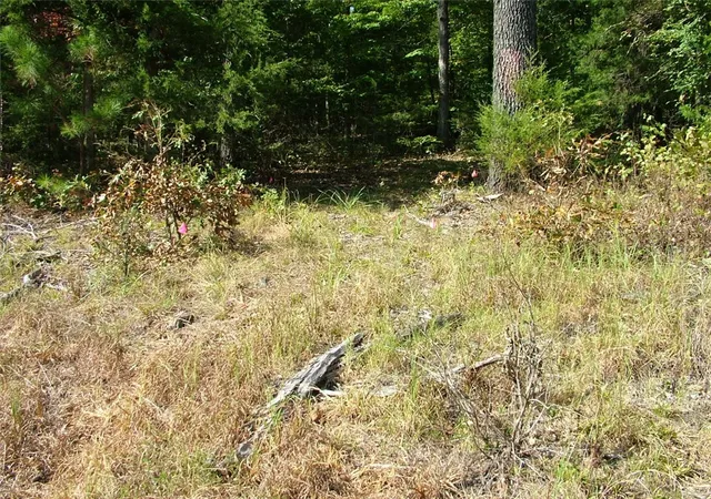 Photo 3 of House for sale at 001-00225-001 Mc 6062, Flippin, AR 72634 | MLS# 1340138 | Listing updated on 2026-09-02