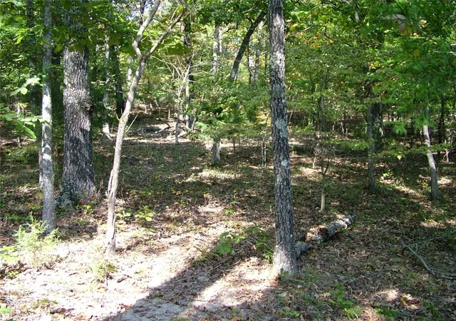 Photo 4 of House for sale at 001-00225-001 Mc 6062, Flippin, AR 72634 | MLS# 1340138 | Listing updated on 2026-09-02