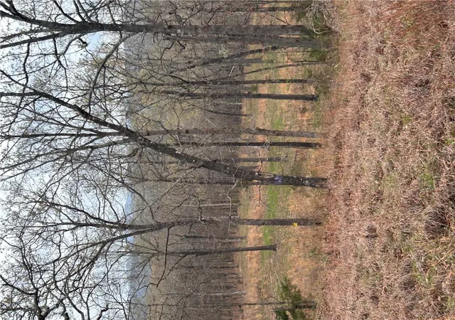 Photo 3 of Land for sale at Tbd 6563 Madison 2340, Huntsville, AR 72740 | MLS# 1341578 | Listing updated on 2026-09-10