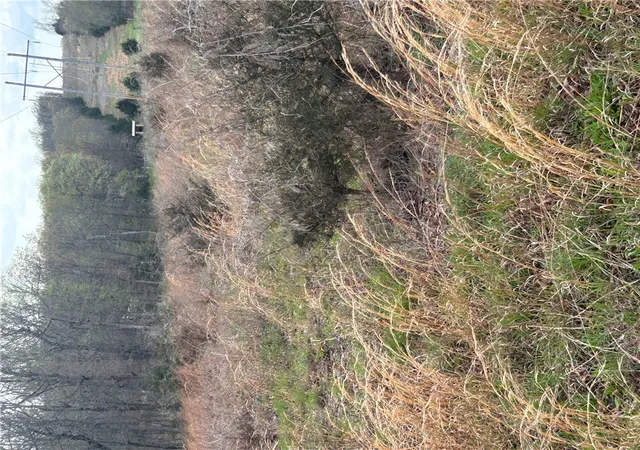 Photo 4 of Land for sale at Tbd 6563 Madison 2340, Huntsville, AR 72740 | MLS# 1341578 | Listing updated on 2026-09-10