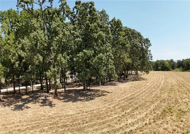Photo 4 of Land for sale at 13925 Jace Cir, Gravette, AR 72736 | MLS# 1342002 | Listing updated on 2026-08-28