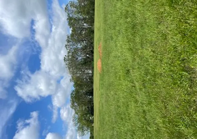 Photo 1 of Land for sale at 7 Check's Cor Rd, Sulphur Springs, AR 72768 | MLS# 1342638 | Listing updated on 2026-09-03
