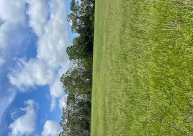 Photo 2 of Land for sale at 7 Check's Cor Rd, Sulphur Springs, AR 72768 | MLS# 1342638 | Listing updated on 2026-09-03