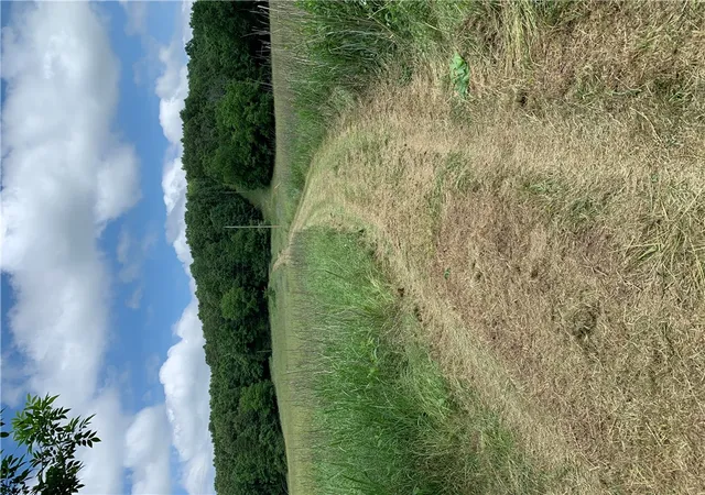 Photo 3 of Land for sale at 2465 Denton Fry Rd, Cotter, AR 72726 | MLS# 1343328 | Listing updated on 2026-08-31
