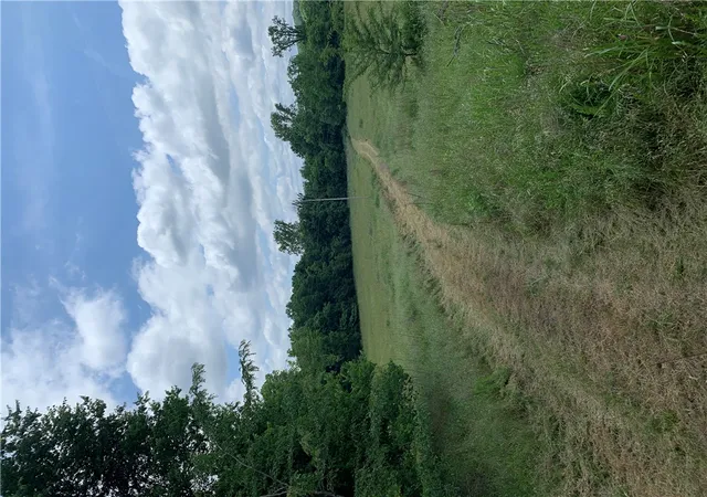 Photo 4 of Land for sale at 2465 Denton Fry Rd, Cotter, AR 72726 | MLS# 1343328 | Listing updated on 2026-08-31