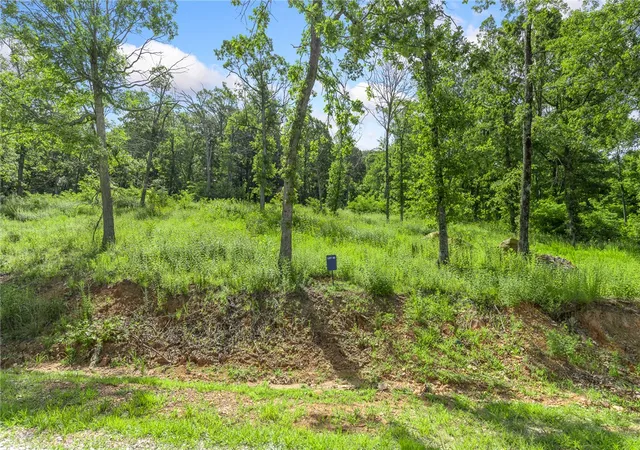 Photo 4 of Land for sale at Lot 45 Restore Ridge, Harrison, AR 72601 | MLS# 1343481 | Listing updated on 2026-08-31