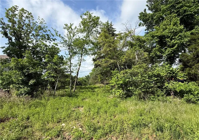 Photo 1 of Land for sale at 167 Holiday Is Dr, Holiday Island, AR 72631 | MLS# 1343945 | Listing updated on 2026-08-31