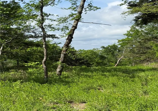 Photo 3 of Land for sale at 167 Holiday Is Dr, Holiday Island, AR 72631 | MLS# 1343945 | Listing updated on 2026-08-31