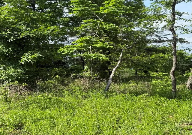 Photo 4 of Land for sale at 167 Holiday Is Dr, Holiday Island, AR 72631 | MLS# 1343945 | Listing updated on 2026-08-31