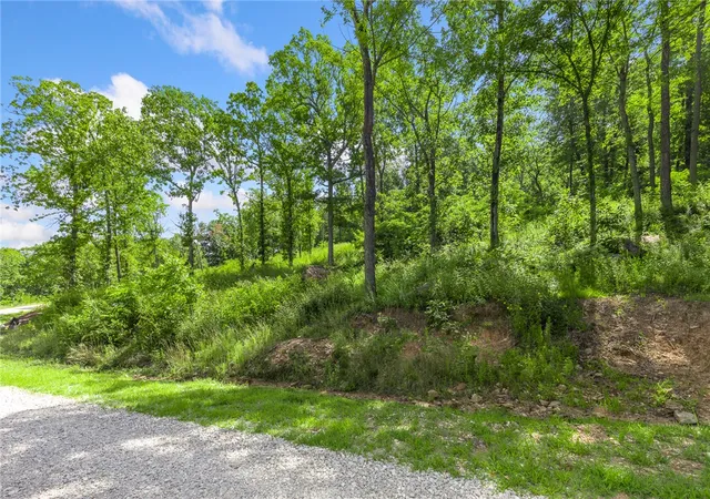 Photo 1 of Land for sale at Lot 46 Restore Ridge, Harrison, AR 72601 | MLS# 1343485 | Listing updated on 2026-08-31