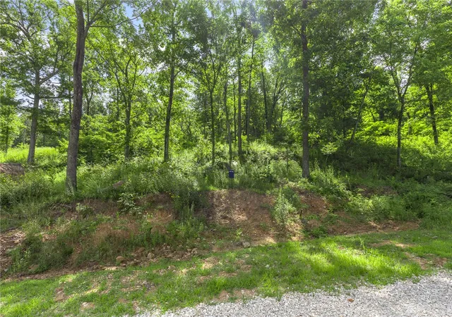 Photo 4 of Land for sale at Lot 46 Restore Ridge, Harrison, AR 72601 | MLS# 1343485 | Listing updated on 2026-08-31