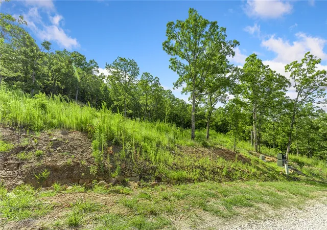Photo 2 of Land for sale at Lot 14 Peaceful Pl, Harrison, AR 72601 | MLS# 1343859 | Listing updated on 2026-08-31