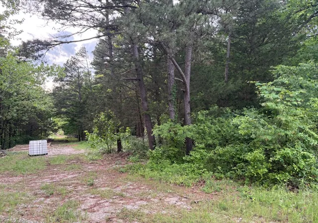 Photo 1 of Sale Pending at 23029 Old Hwy 65, Omaha, AR 72662 | MLS# 1344084 | Listing updated on 2026-09-01