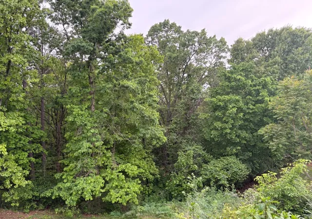Photo 3 of Sale Pending at 23029 Old Hwy 65, Omaha, AR 72662 | MLS# 1344084 | Listing updated on 2026-09-01