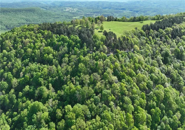 Photo 2 of Land for sale at Tbd Highway 74, Mount Judea, AR 72655 | MLS# 1344685 | Listing updated on 2026-09-26