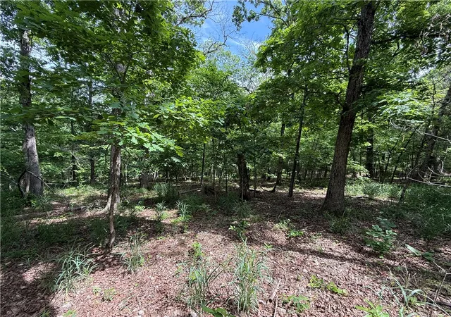 Photo 1 of Land for sale at Tbd Cr 206, Eureka Springs, AR 72632 | MLS# 1344901 | Listing updated on 2026-08-31