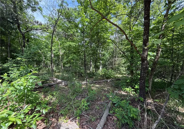 Photo 3 of Land for sale at Tbd Cr 206, Eureka Springs, AR 72632 | MLS# 1344901 | Listing updated on 2026-08-31