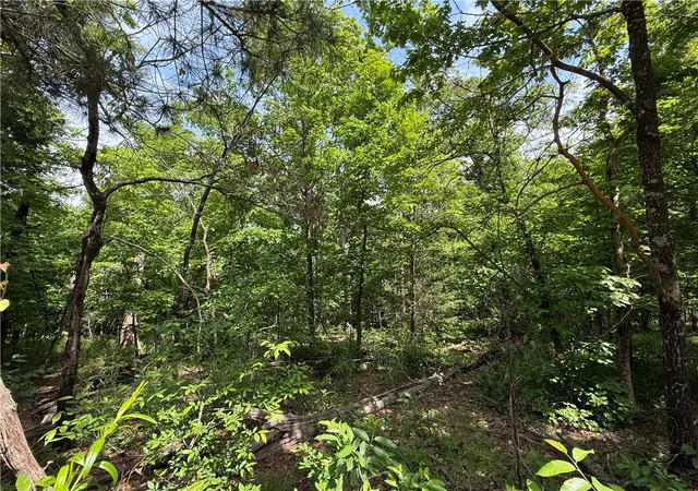 Photo 3 of House for sale at Tbd Cr 206, Eureka Springs, AR 72632 | MLS# 1344901 | Listing updated on 2026-08-31