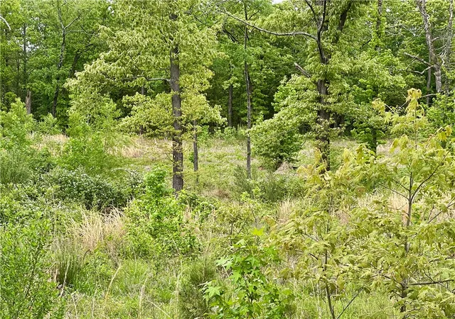Photo 3 of Land for sale at Lot 13 Galaxy Ln, London, AR 72847 | MLS# 1345078 | Listing updated on 2026-09-02