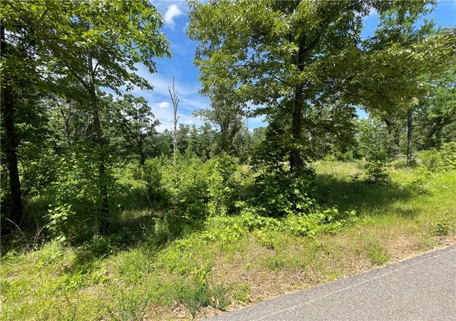 Photo 4 of Land for sale at Lot 13 Galaxy Ln, London, AR 72847 | MLS# 1345078 | Listing updated on 2026-09-02