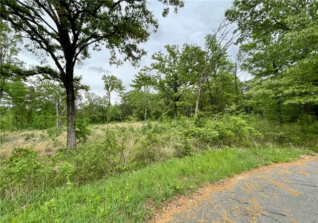 Photo 3 of Land for sale at Lot 14 Galaxy Ln, London, AR 72847 | MLS# 1345079 | Listing updated on 2026-09-02
