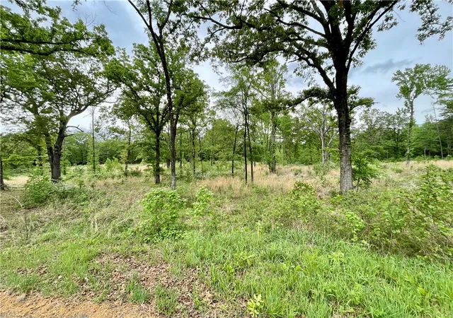 Photo 3 of Land for sale at Lot 14 Galaxy Ln, London, AR 72847 | MLS# 1345079 | Listing updated on 2026-09-02