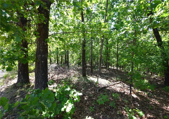Photo 1 of Land for sale at 6387 Sacred Fire Ridge Rd, Proctor, OK 74457 | MLS# 1346797 | Listing updated on 2026-09-14