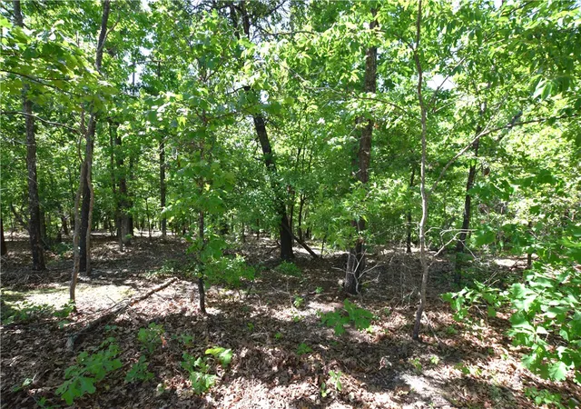 Photo 3 of Land for sale at 6387 Sacred Fire Ridge Rd, Proctor, OK 74457 | MLS# 1346797 | Listing updated on 2026-09-14
