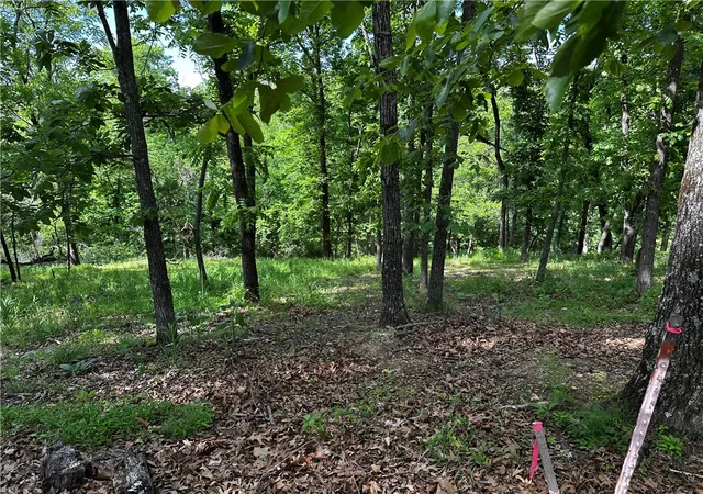 Photo 2 of Land for sale at Lot E 100 Robin Rd, Rogers, AR 72756 | MLS# 1347519 | Listing updated on 2026-08-31