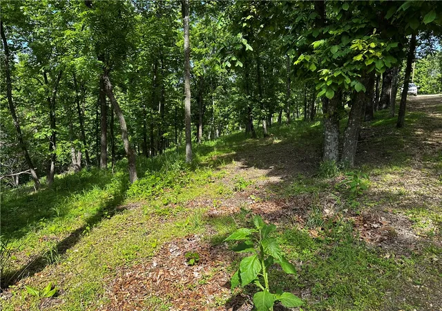 Photo 3 of Land for sale at Lot E 100 Robin Rd, Rogers, AR 72756 | MLS# 1347519 | Listing updated on 2026-08-31