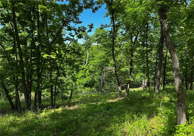 Photo 4 of Land for sale at Lot E 100 Robin Rd, Rogers, AR 72756 | MLS# 1347519 | Listing updated on 2026-08-31
