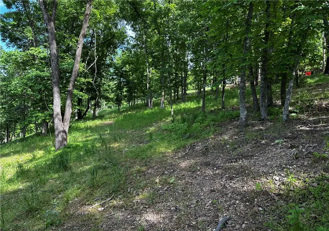 Photo 5 of Land for sale at Lot E 100 Robin Rd, Rogers, AR 72756 | MLS# 1347519 | Listing updated on 2026-08-31