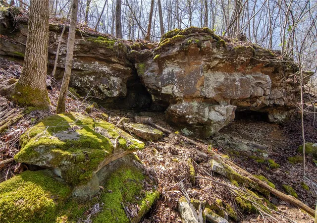 Photo 1 of Land for sale at 546 Madison 5390, Huntsville, AR 72740 | MLS# 1347737 | Listing updated on 2026-09-01