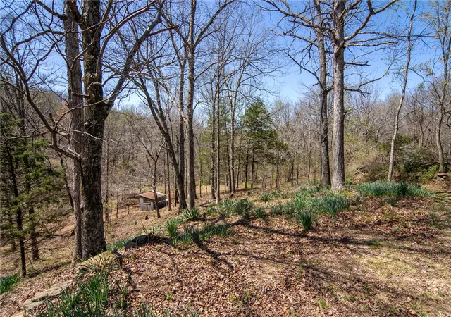 Photo 2 of Land for sale at 546 Madison 5390, Huntsville, AR 72740 | MLS# 1347737 | Listing updated on 2026-09-01