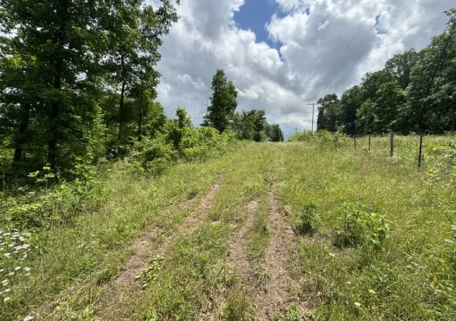 Photo 3 of Land for sale at Ar 21 S Berryville 72, Berryville, AR 72616 | MLS# 1348994 | Listing updated on 2026-09-10